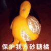 江西网友33915