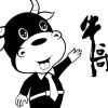 海南网友54935