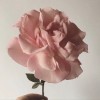湖北网友46302
