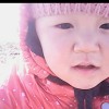 北京网友94845