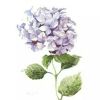 天津网友48137