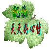 西藏网友74683