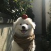 内蒙古网友66982