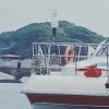 安徽网友70013