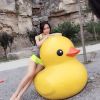 广东网友47598