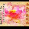 海南网友93046