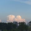 宁夏网友85026