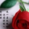 青海网友72606