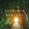 江西网友31624