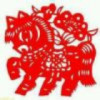 上海网友80515