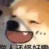 上海网友57776