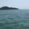 宁夏网友20848