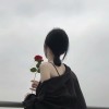 陕西网友68247