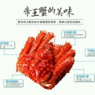 QQ头像