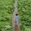 ddxxzz0910的头像-无忧免费游戏网