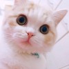 山西网友74951