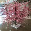黑龙江网友64403