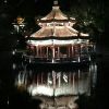 浙江网友92450