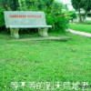 湖北网友85959