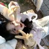 天津网友63500