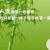 青海网友67464