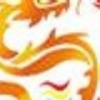 新疆网友91719