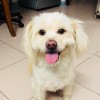 陕西网友29092