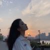 福建网友36911