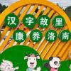 湖南网友46847