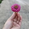 河南网友46414