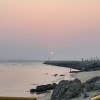 上海网友66495