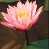 河北网友72096