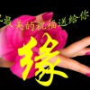 广东网友52490