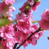 河南网友35776