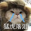 吉林网友14971
