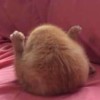吉林网友40348