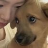 甘肃网友53873