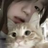 云南网友45683