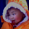 云南网友46862