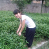 广东网友11940