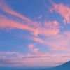 上海网友73996