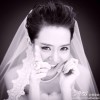 黑龙江网友52399