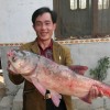 澳门网友42323