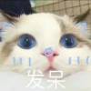 内蒙古网友98166