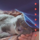 QQ头像