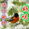 广西网友32957