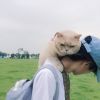 澳门网友80277