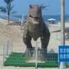 北京网友71005