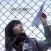 福建网友61215
