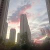 福建网友41988